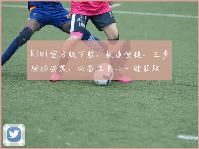 Kiwi官方版下载，快速便捷，三步轻松安装，必备工具，一键获取