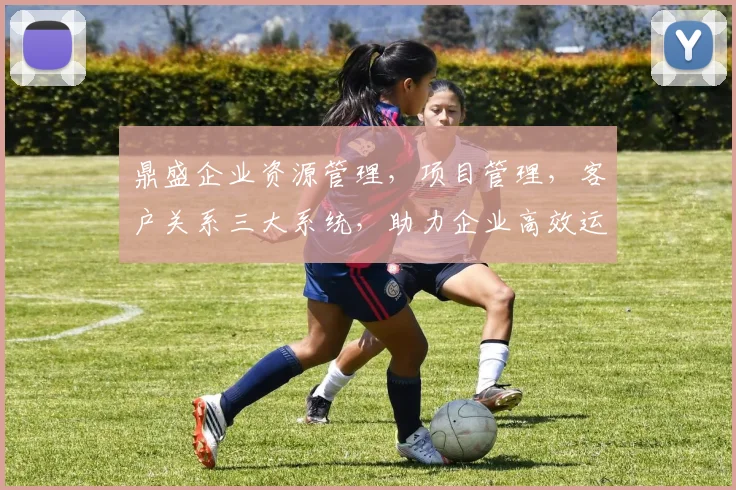 鼎盛企业资源管理，项目管理，客户关系三大系统，助力企业高效运营，提升竞争力